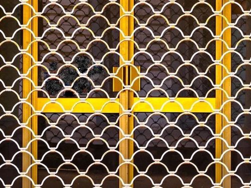 Sea Shell Pattern Architectural Iron Grille — item B-200-B, Global Metals USA